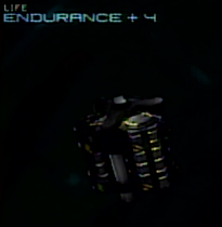 Endurance_Upgrade